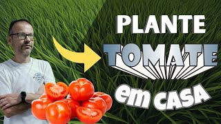 Veja Como É Fácil Plantar Tomate Orgânico  Em Casa, Faça o Teste!