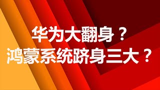 【HOTV】华为大翻身？鸿蒙系统和安卓、iOS有何区别？能否成为安卓、iOS 之后的第三大移动操作系统？