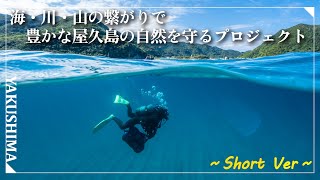 【屋久島町】「海・山・川の繋がりで豊かな屋久島の自然を守るプロジェクト」（shortバージョン）