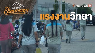 แรงงานวิทยา | Localist ชีวิตนอกกรุง