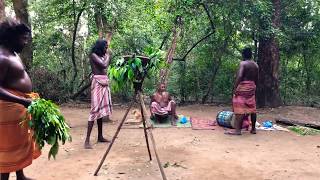 Kirikoraha dance in Sri Lanka dabana(スリランカウェッダのキリコラハダンス)