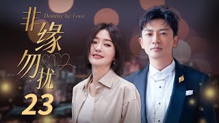 【ENG SUB】《非缘勿扰》 第23集 肖强给刘琳送爱心早餐 陆西诺对刘琳言语冷淡  （主演：苏有朋、秦岚、熊乃瑾、谭俊彦 ）【CCTV电视剧】