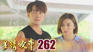 多情城市 EP262 愛心胎記的秘密｜Golden City