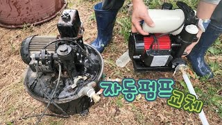 Ep.47:) 뉴 자동펌프 구입 후 4번째  물 올리기