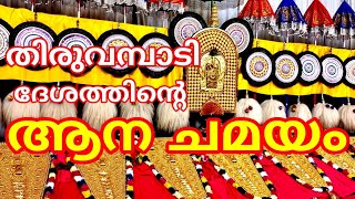 Ana chamayam thiruvambadi desham | തിരുവമ്പാടി ദേശത്തിൻ്റെ ആന ചമയം