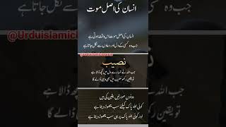Best Urdu Quotes |  #viral | #youtubeshorts | #youtuber |#islamic | #trending | #tiktok #short