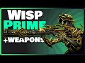 The best support in Warframe, Wisp builds + Fulmin & Gunsen