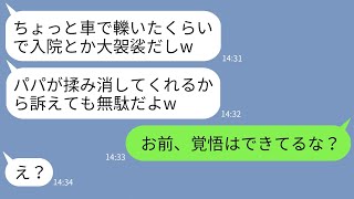 【LINE】飲酒運転で私を轢いて病院送りにした地方議員のバカ娘「パパが全部揉み消すしw」→私も最強の父親を召喚したと知った時のクズ女の反応がwww