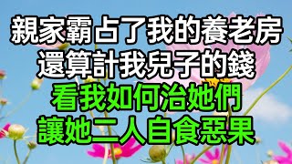 親家霸占了我的養老房，還算計我兒子的錢，看我如何治她們，讓她二人自食惡果#深夜淺讀 #為人處世 #生活經驗 #情感故事