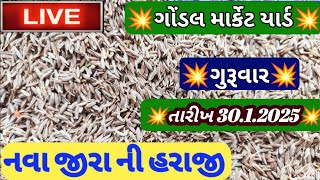 જીરા ના બજાર ભાવ / આજના જીરાના બજાર ભાવ / જીરુંના ભાવ બજાર /ગોંડલ જીરા ના બજાર ભાવ / 30.1.2025