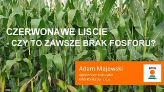 KWS Porada: CZERWONAWE LIŚCIE CZY TO ZAWSZE BRAK FOSFORU?