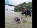 Amazing Traditional Trap Fishing With Chicken Liver  #fish #video #chicken_liver #shorts #reels