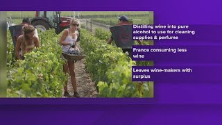 France destroys wine due to excess supply