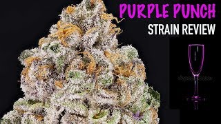 PURPLE PUNCH STRAIN REVIEW