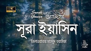 সূরা ইয়াসিন | মাহমুদ হুযাইফা | Quran Tilawat | Surah Yaseen | Mahmud Huzaifa | Elmun Noor