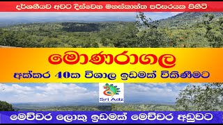 Monaragala 40 Acres Land for Sale