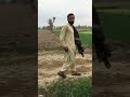 میرے پچاس ہزار 🤣🤣 funny faryou comedy comedyfilms