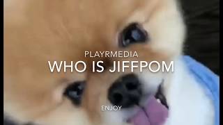 I LOVE #JIFFPOM #puppies #cute #doglovers #dogs #pets #cool #blonde