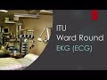 itu ward round ekg ecg a junior doctor’s guide to itu part 6