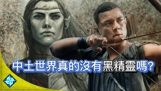 力量之戒（魔戒）中土曆史真的沒有“黑精靈”嗎？