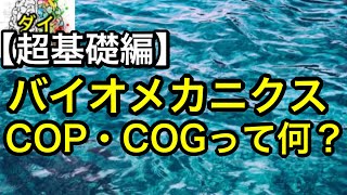 バイオメカニクスの基礎！COP・COGって何？【超基礎編】