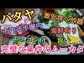 【パタヤ】ここが総合1位。海鮮＆豚焼肉満喫。