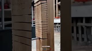 The process of cutting wooden poles- Satisfying jobs and machinery in the world