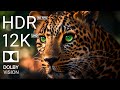 TOP 10 • THE GREAT HUNTER - 4K HDR 60FPS DOLBY VISION - TRUE CINEMATIC