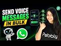Send Voice Messages on WhatsApp in Bulk