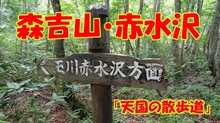 森吉山赤水沢 　桃洞の滝と一度は行ってみたい沢歩き