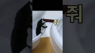 턱이 길어 슬픈 수컷 사슴벌레