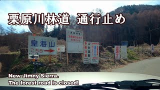 【新型ジムニーシエラで栗原川林道の様子見（現在通行止め） 群馬旅行 】Watch the forest road that is closed..Travel to Japan.2020.3