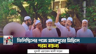 ফিলিস্তিনের পক্ষে মাধবপুরের মিছিলে গরম বক্তব্য দিলেন\