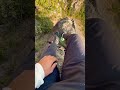 lion rock hong kong 🇭🇰 shorts short rockclimbing punjabisong dangerous hike