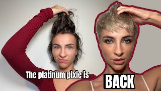 I chopped my hair off again!!! (shocker lol) | Platinum Pixie Transformation 🧚🏼