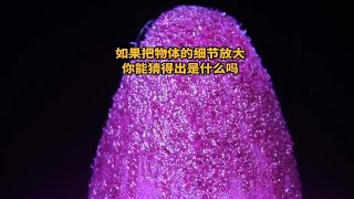 如果把物体的细节放大，你能猜得出它们是什么吗？