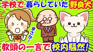 学校で暮らしていた犬。教頭の一言で校内騒然! 【実話】