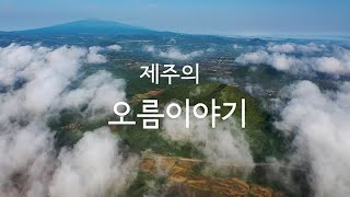 [기사+]오름 이야기 - 오름의 가치