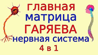 Первоочередное исцеление по Гаряеву. Медитация для Нервной Системы с формулами  4в1, программа № 2-3