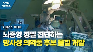 뇌종양 정밀 진단하는 방사성 의약품 후보 물질 개발 / YTN 사이언스