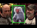 Joe Rogan and Eddie Bravo talk about DANGEROUS ANIMALS - JRE 2040