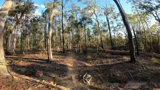 Wondai 8km trail run