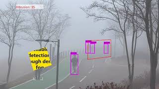 AI Video Analytics Demo Collection