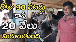 20 వేలు మిగులుతుంది|sathyam dairy farm telugu|mallesh adla|