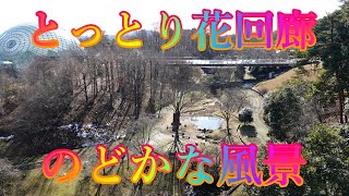 冬散歩 1月18日 土曜 晴れ 寒い朝の空気 #とっとり花回廊 のどかな風景 日本 鳥取県西伯郡南部町鶴田 レストラン花かいろう @WalkingYoshi