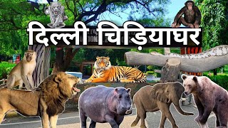 दिल्ली का चिड़ियाघर  - Delhi Zoo - Delhi Zoo Online Ticket Booking, Price - National Zoological Park