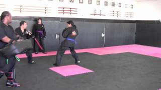 Bushido Ryu -Sparring w/ Extra Attackers 6-12-12