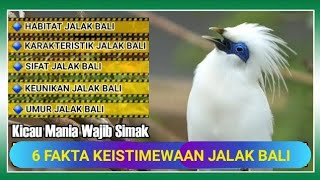 inilah❗️6 FAKTA BURUNG JALAK BALI