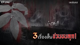 Ep.246 รวมเรื่องสั้น3 เรื่องชวนขนลุก! ฟังชิวๆตอนหัวค่ำ! | เล่าผีคืนนี้