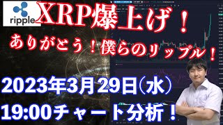 【社会人向け】【投資・暗号資産】2023年3月29日(水)19:00チャート分析！XRP爆上げ！